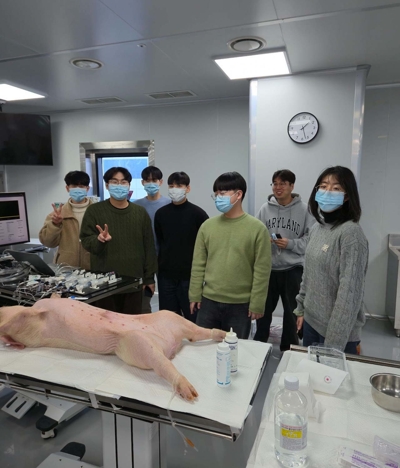 In-vivo test of the endoluminal catheter robot